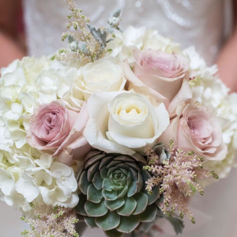 Meet your Posher, Vonni